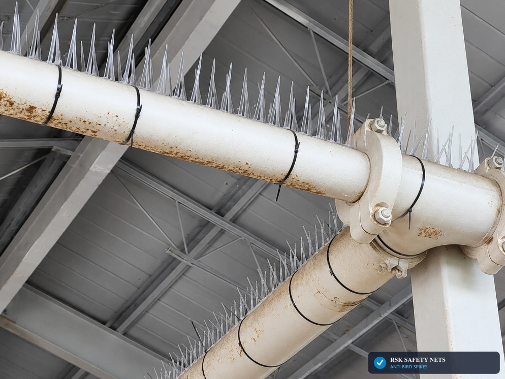 Industrial Stainless Steel 304 Anti-Bird Spikes on Overhead Pipe